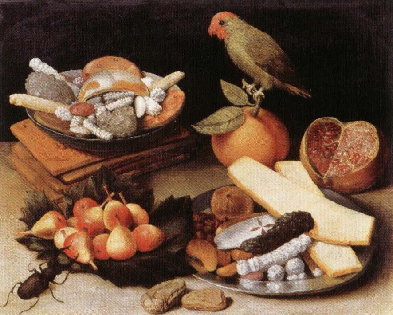 FLEGEL, Georg Still Life with Parrot Germany oil painting art